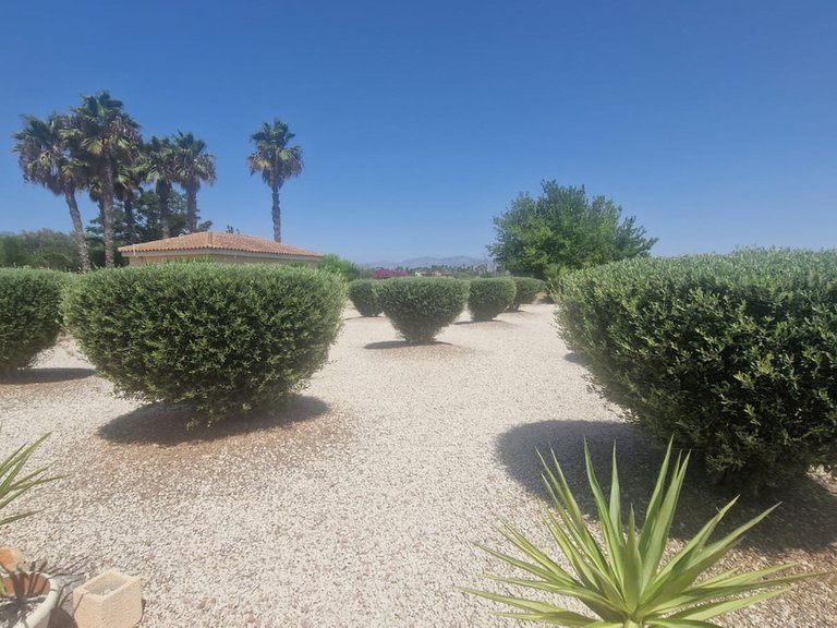 Villa for Sale in Catral, Alicante 21