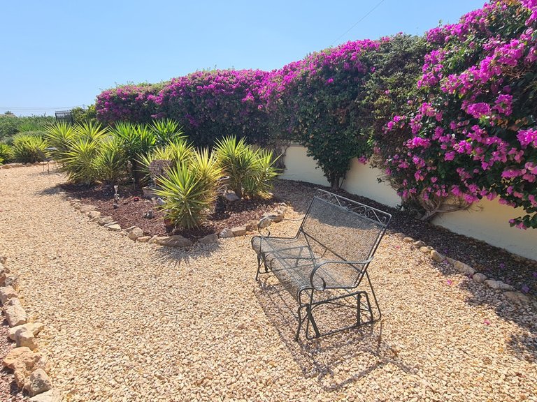 Villa for Sale in Catral, Alicante 24