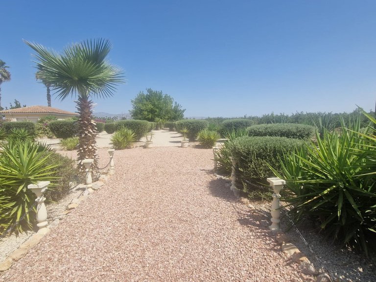 Villa for Sale in Catral, Alicante 26