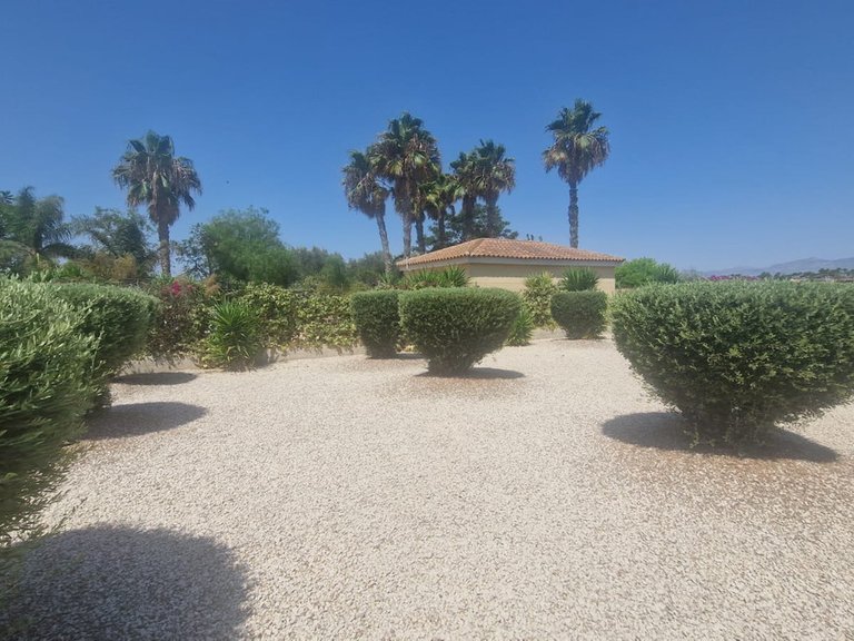 Villa for Sale in Catral, Alicante 32