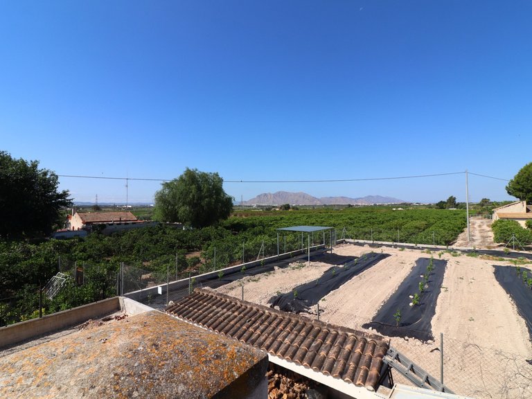 Villa for Sale in Albatera, Alicante 44