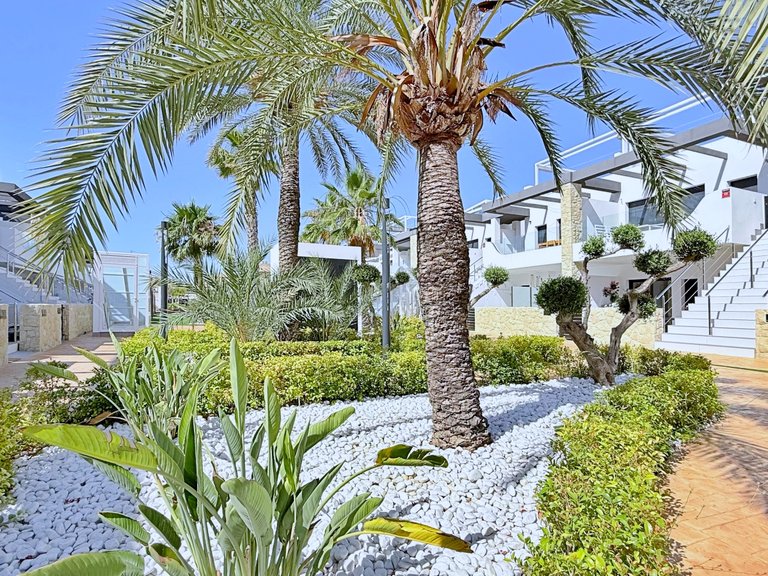Apartment for Sale in Punta Prima, Alicante 38