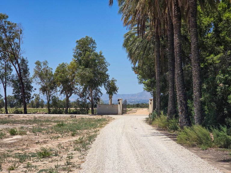 Villa for Sale in Elche, Alicante 2