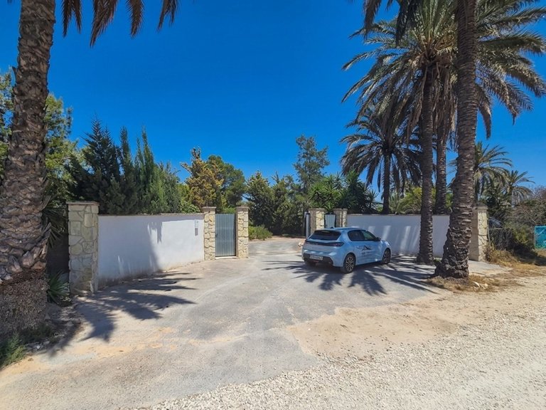 Villa for Sale in Elche, Alicante 3