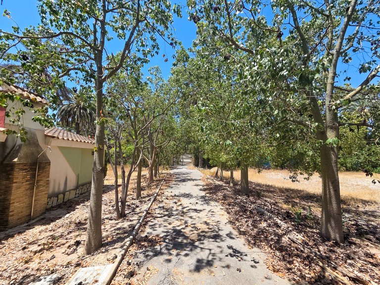 Villa for Sale in Elche, Alicante 30