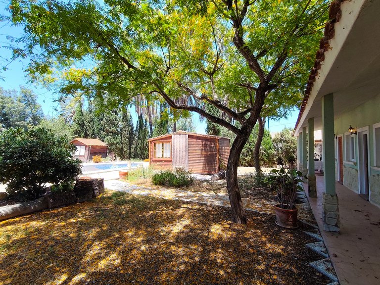 Villa for Sale in Elche, Alicante 34
