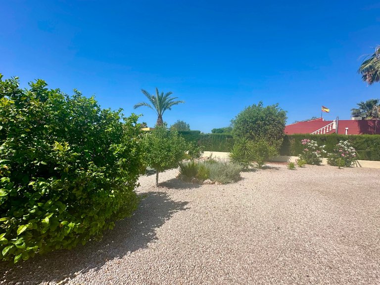 Villa for Sale in Catral, Alicante 28