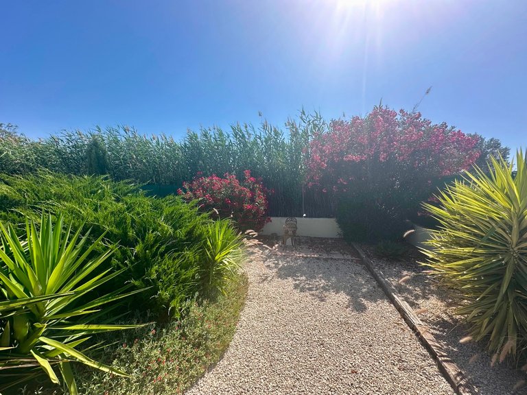 Villa for Sale in Catral, Alicante 34