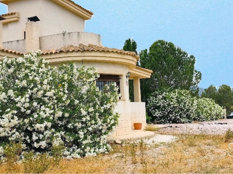 Villa for Sale in Pinoso, Alicante 1