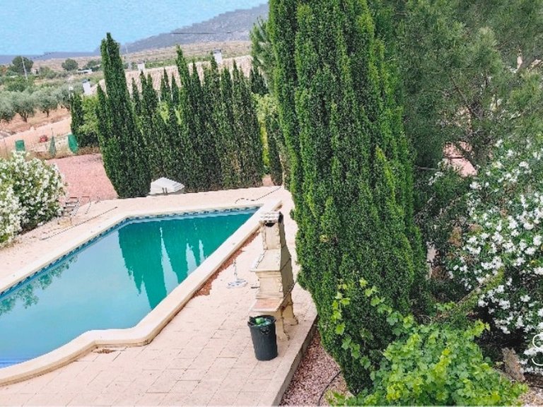 Villa for Sale in Pinoso, Alicante 14