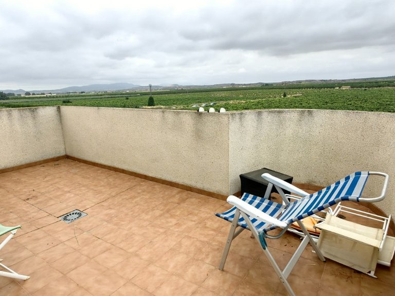 Villa for Sale in Pinoso, Alicante 17