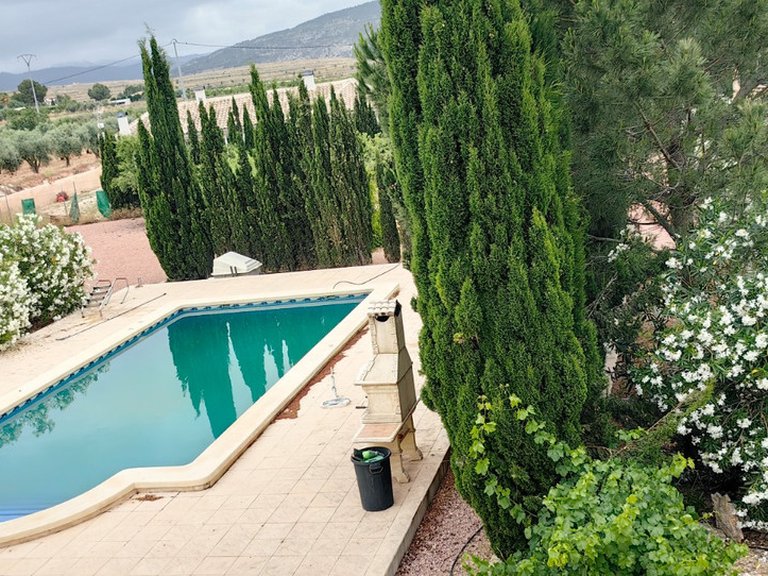 Villa for Sale in Pinoso, Alicante 19