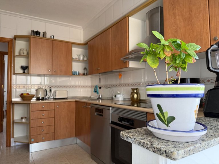 Apartment for Sale in Santiago De La Ribera, Murcia 4