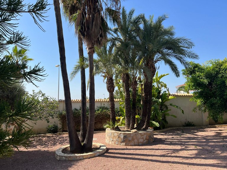 Villa for Sale in Ciudad Quesada, Alicante 3