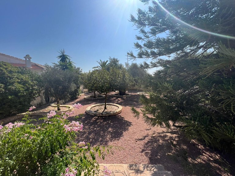 Villa for Sale in Ciudad Quesada, Alicante 22