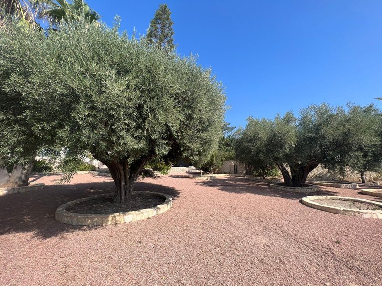 Villa for Sale in Ciudad Quesada, Alicante 25