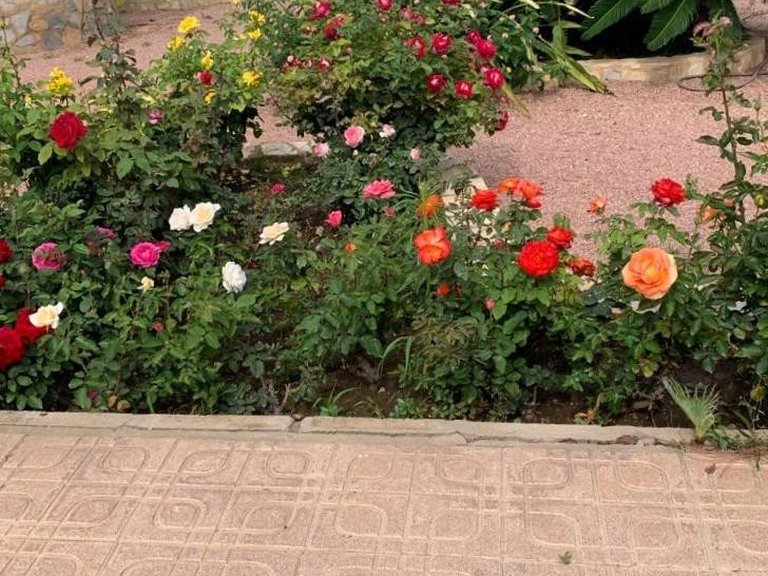 Villa for Sale in Ciudad Quesada, Alicante 26