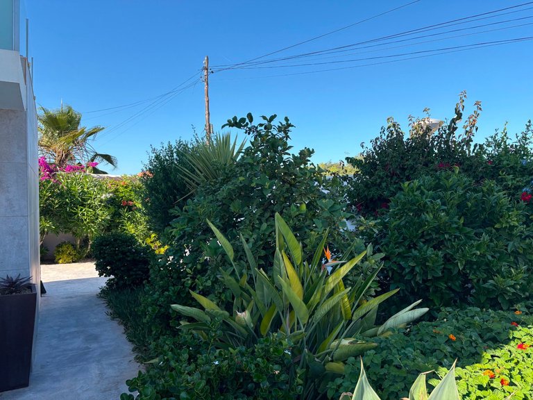 Villa for Sale in Torrevieja, Alicante 10