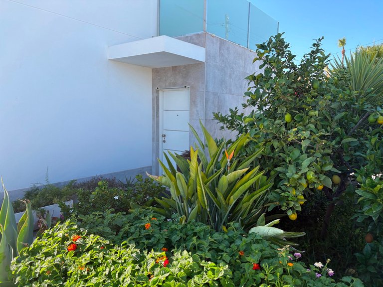 Villa for Sale in Torrevieja, Alicante 11
