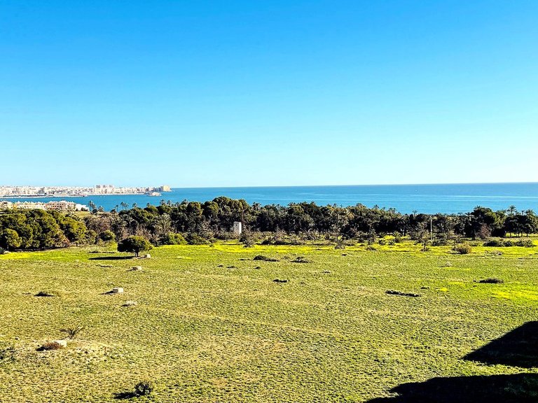 Apartment for Sale in Punta Prima, Alicante 23