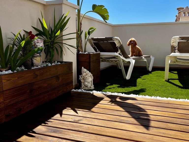 Apartment for Sale in Los Alcazares, Murcia 2