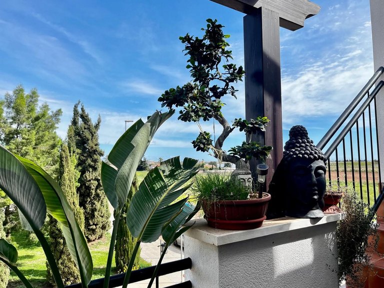 Apartment for Sale in Los Alcazares, Murcia 22