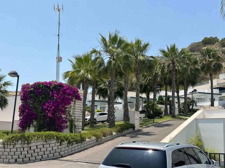 Villa for Sale in San Miguel De Salinas, Alicante 39
