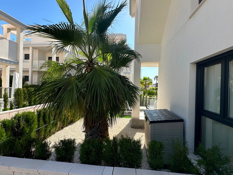Villa for Sale in Rojales, Alicante 32