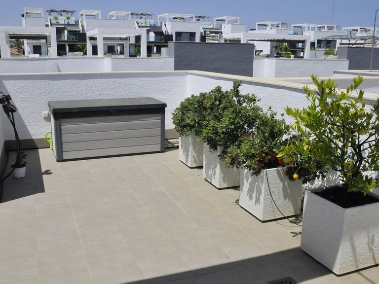 Apartment for Sale in Guardamar Del Segura, Alicante 32