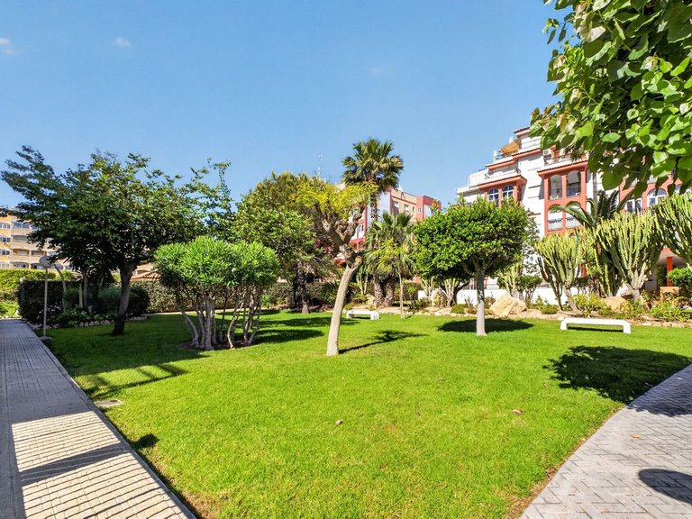 Apartment for Sale in Torrevieja, Alicante 30