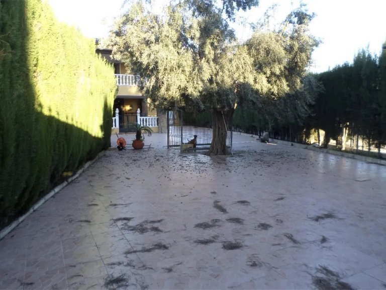 Town House for Sale in Orihuela, Alicante 5