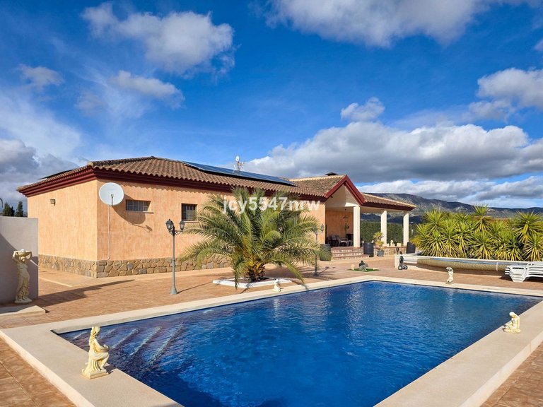 Villa for Sale in Pinoso, Alicante 2