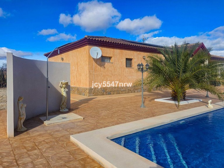 Villa for Sale in Pinoso, Alicante 28