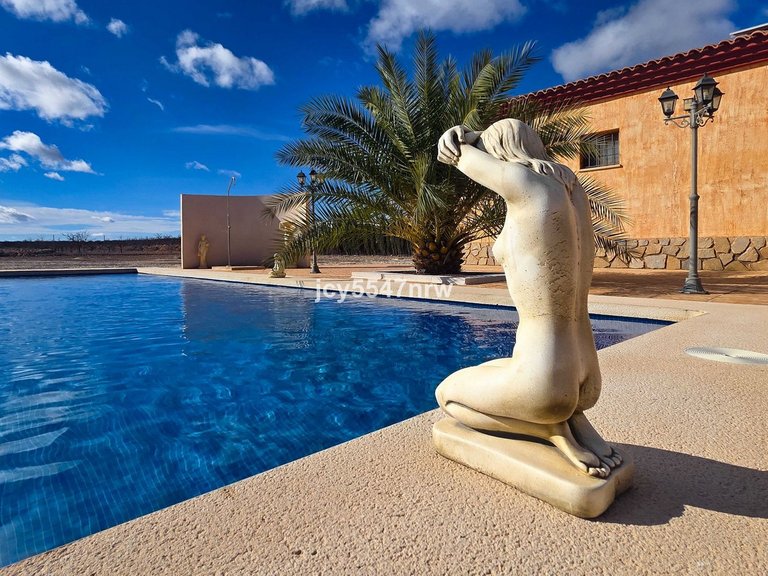 Villa for Sale in Pinoso, Alicante 29