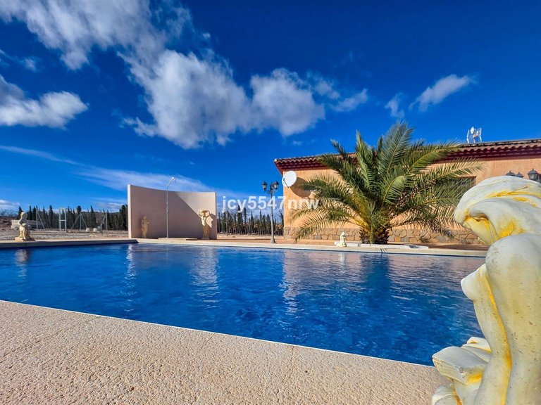 Villa for Sale in Pinoso, Alicante 32
