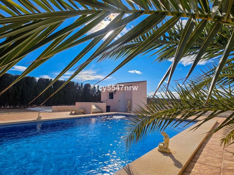 Villa for Sale in Pinoso, Alicante 33