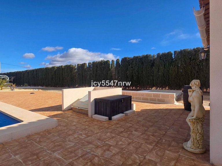 Villa for Sale in Pinoso, Alicante 34