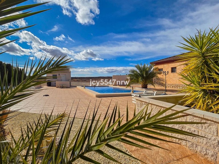 Villa for Sale in Pinoso, Alicante 35
