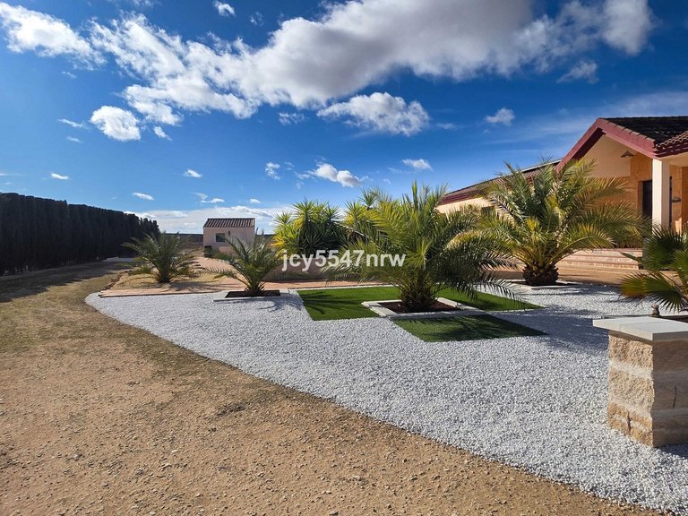 Villa for Sale in Pinoso, Alicante 39