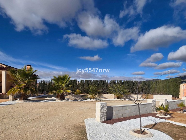 Villa for Sale in Pinoso, Alicante 40