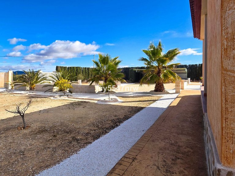 Villa for Sale in Pinoso, Alicante 42