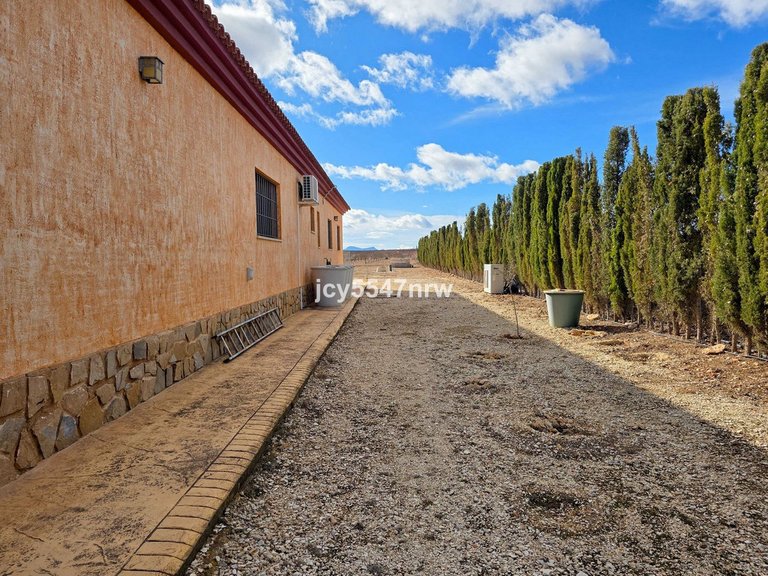 Villa for Sale in Pinoso, Alicante 43