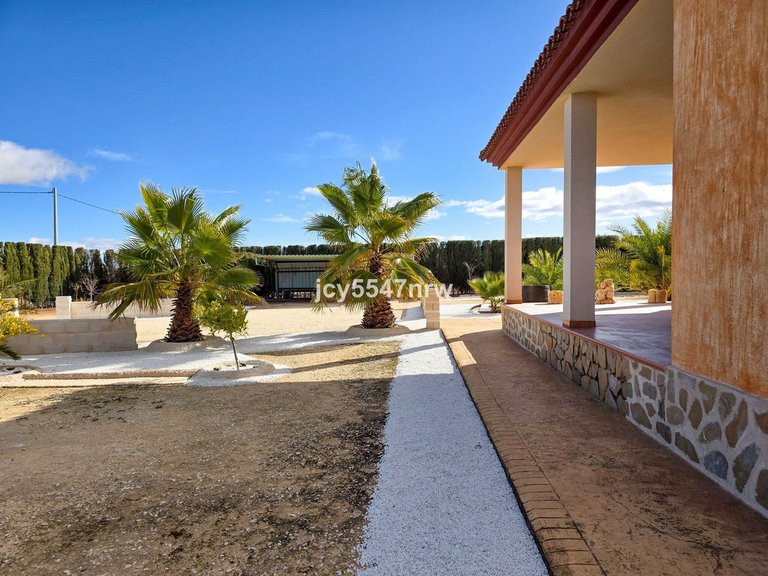 Villa for Sale in Pinoso, Alicante 45