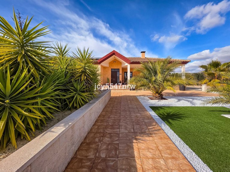 Villa for Sale in Pinoso, Alicante 48