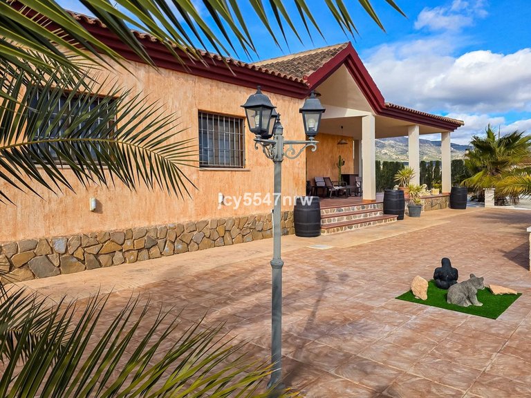 Villa for Sale in Pinoso, Alicante 49