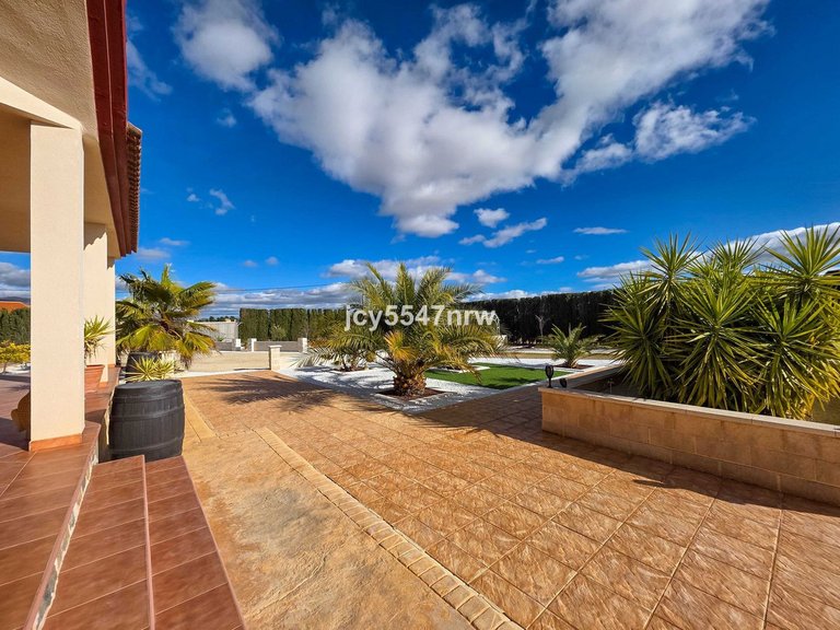 Villa for Sale in Pinoso, Alicante 50