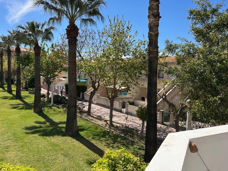 Apartment for Sale in Cabo Roig, Alicante 15