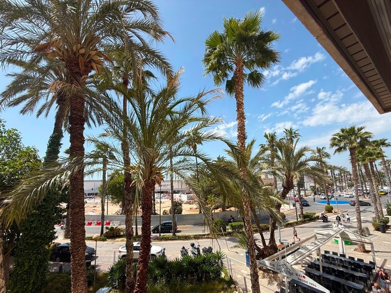 Apartment for Sale in Torrevieja, Alicante 43