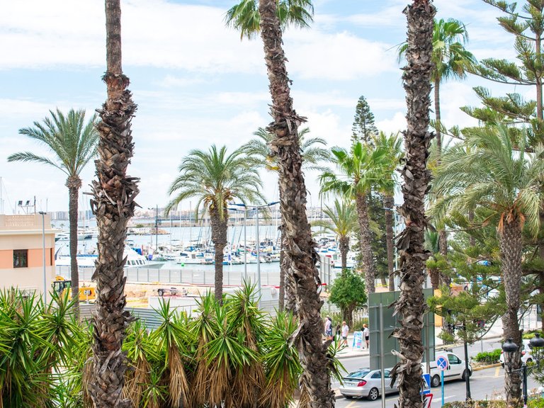 Apartment for Sale in Torrevieja, Alicante 42