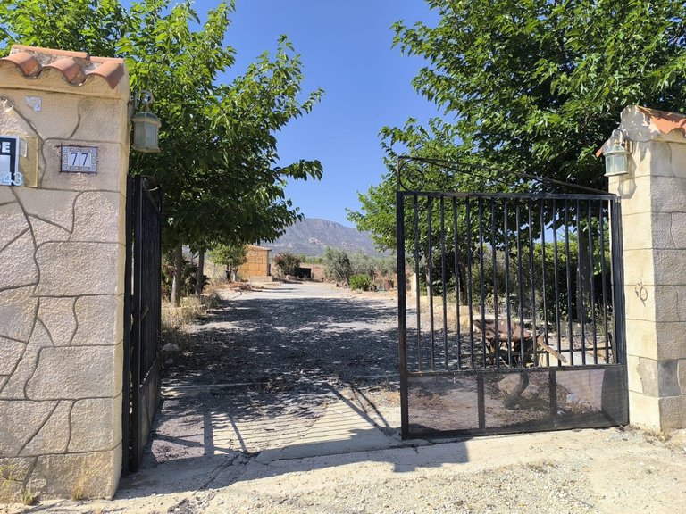 Country House for Sale in Pinoso, Alicante 9